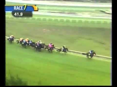 20101010 KL DA MA CAI STAKES CLASS 3 (LC) - FLYING CAT (I Azahar)