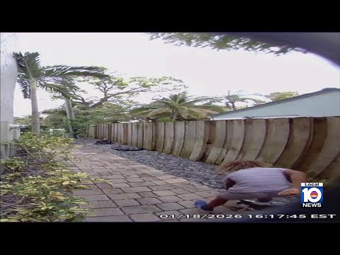 Authorities seek boy who they say stomped duck to death in Fort Lauderdale