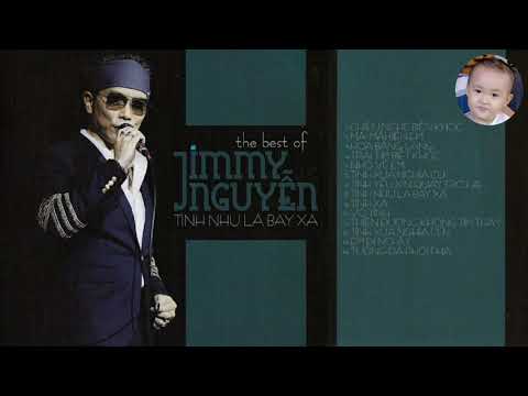 Tình Như Lá Bay Xa (Album ) _ Jimmy Nguyễn