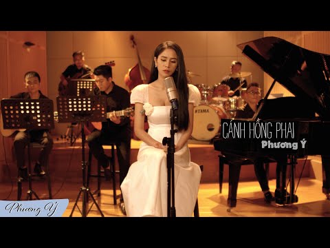 Cánh Hồng Phai - Phương Ý (Cover) | Bài Hát Hay Nhất Về Cuộc Đời Con Gái Nên Nghe Và Ngẫm