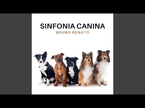 Sinfonia Canina - Bruno Renato