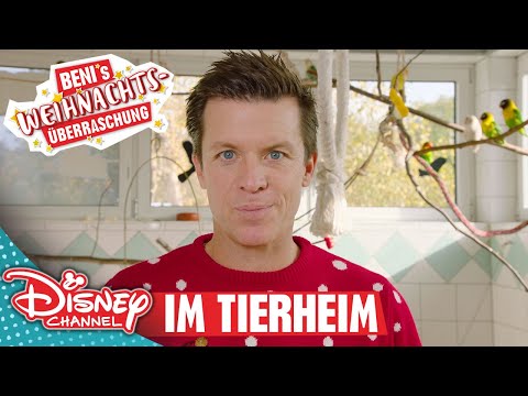 Beni im Tierheim | Benis Weihnachtsüberraschung