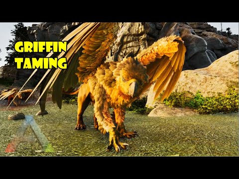griffin taming 🦅🐆