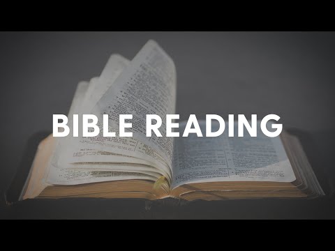 Daily Bible reading - Judges 21 & Ruth 01-04 - 30&31/07/2025 & 01/08/2025