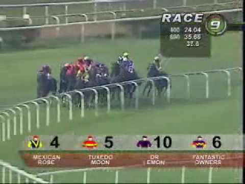 Mexican Rose Shows Class In Record Breaking Win!