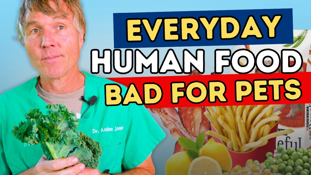 7 Everyday Foods a Vet Says Your Dog Should Never Eat