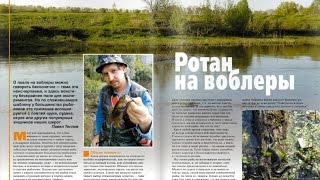 Ссылка