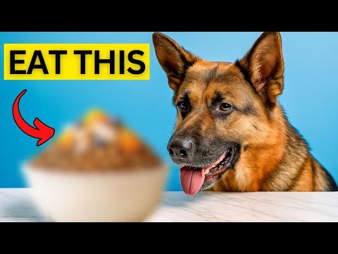 What German Shepherds Can Eat and Toxic Foods Avoid (Over 34 Safe Fruits, Veggies, Nuts and Dairy)