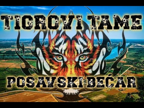 TIGROVI TAME - POSAVSKI BEĆAR