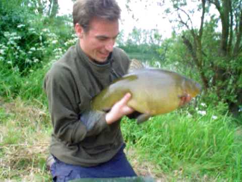 Lín přes 5 kg