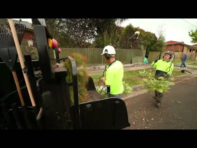Redback Tree Services