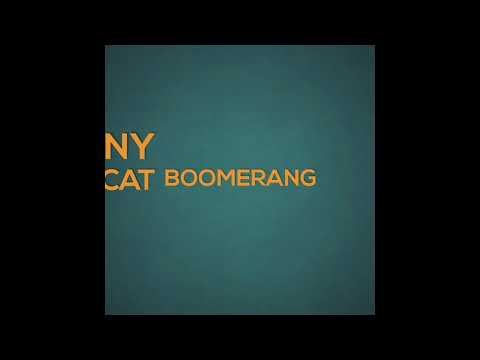 Funny cat booooooomerang !!!!😲👍
