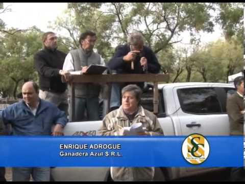 ENRIQUE ADROGUE - 07/05/2013 - Ganadera Azul SRL - N.I.Goenaga y Cía. - Azul