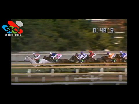 1995 FUTURITY STAKES SCHILLACI