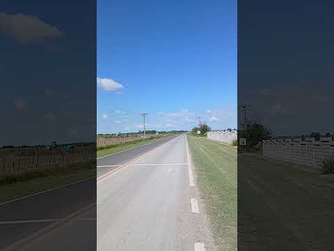 Camino de A. San Rafael a Aldea Santa Rosa. Departamento Parana. Entre Rios