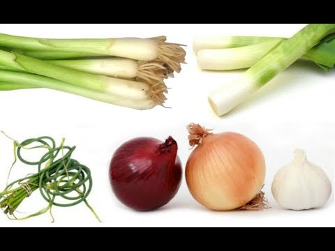 What can replace shallots?
