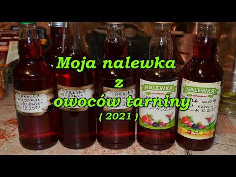 Moja nalewka z owoców tarniny ( 2021 ).