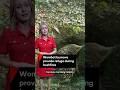 Wombat Burrows Play A Valuable And Underappreciated Role In Australia S Fire Prone Forests