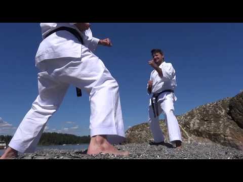 Best Karate - Shobu Premium