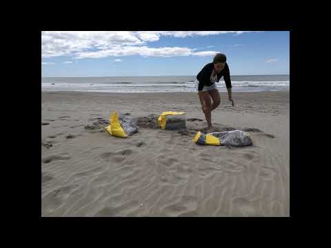 Island - Performance - Flora Koel