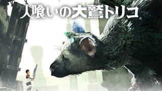 #8 人喰いの大鷲トリコ 〜トリコ、、？〜【女性実況】