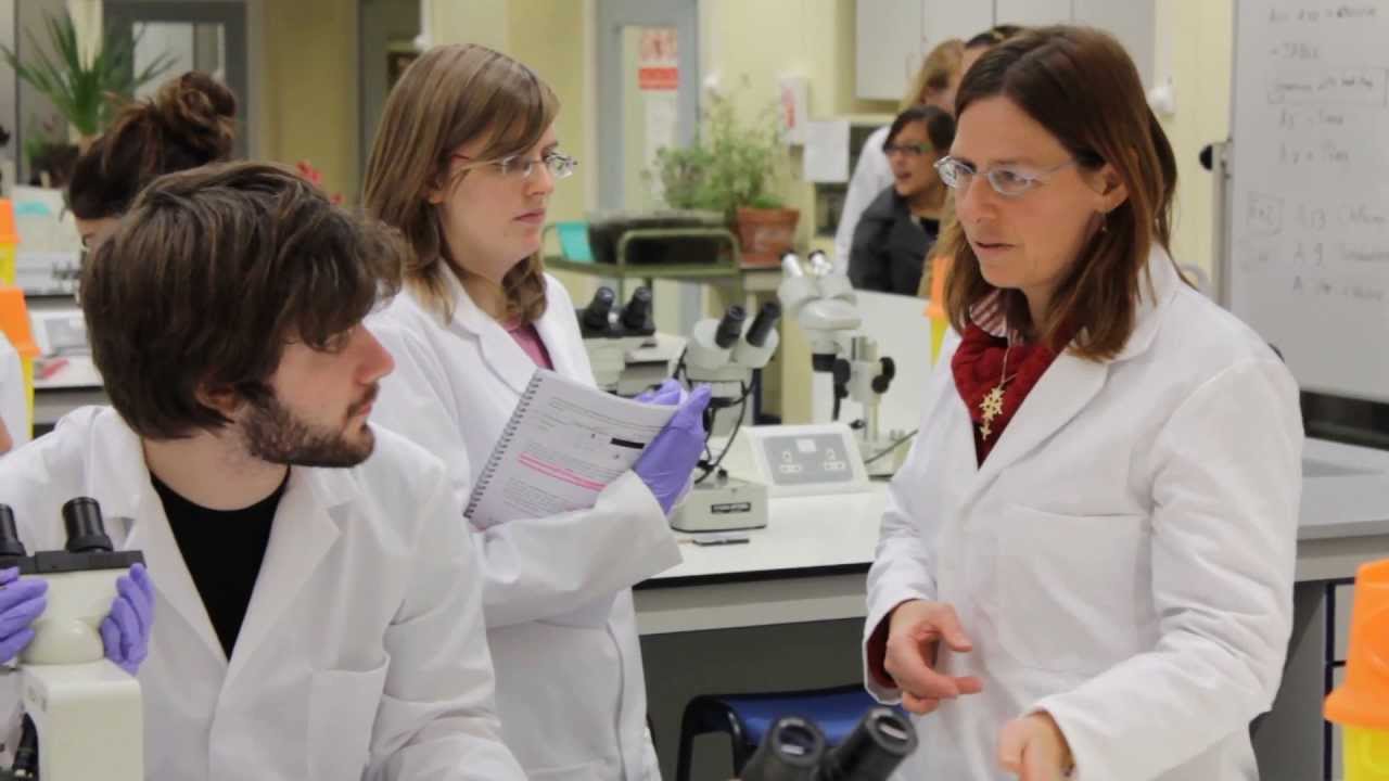 Welcome to the School of Biological Sciences