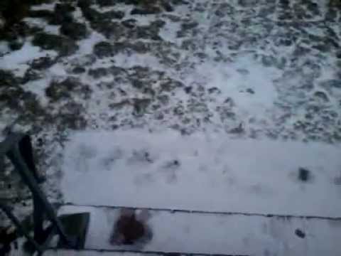 Feb. 8, 2013 Weather Share. Level 5 State of emergency Nemo. Driving Ban