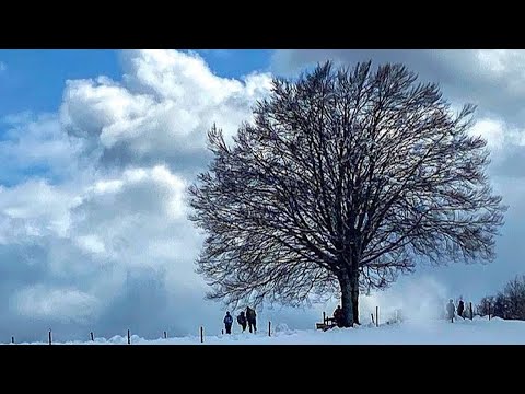 Anello di Pani da Feltrone - ALPI CARNICHE