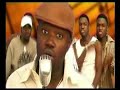 Fine fine baby - Solek