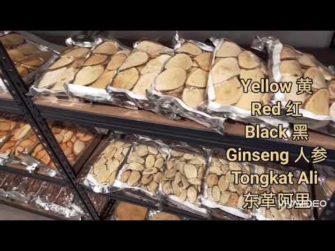 Ayu Flores Malayan Herbals I Largest Range of Tongkat Ali in Malaysia