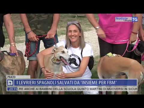 2019-08-12 NOTIZIE DI PRATO TG ORE 20.50