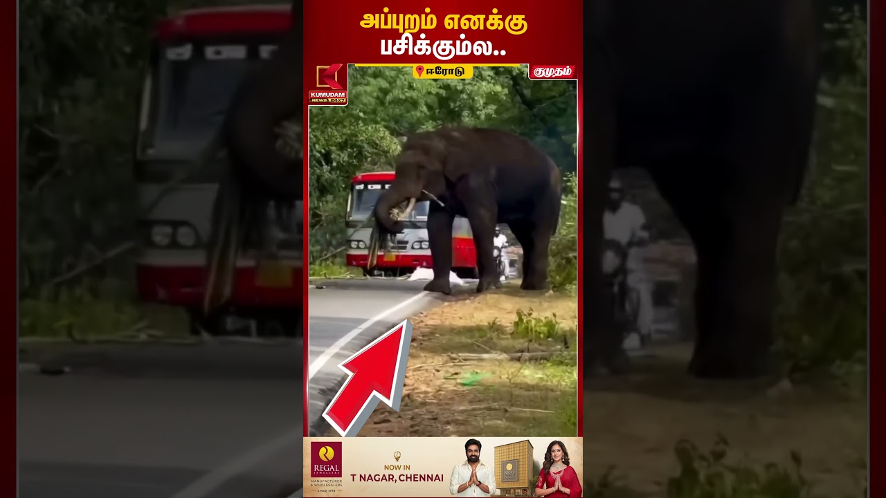 லாரியை மடக்கிய யானை... கரும்பை எடுத்துக்கொண்டு எஸ்கேப்! | Erode Elephant | Viral | Kumudam News |