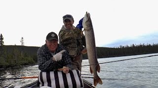 Jurassic Northern Pike at Igloo Lake lodge (2016) - video by guide Deon (thanks!)!