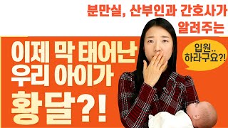 신생아 황달의 모든것! 황달이 쉽게 오는 아기가 있다? 그리고.. 아기가 이런 증상이 보인다면 바로 병원 가세요!