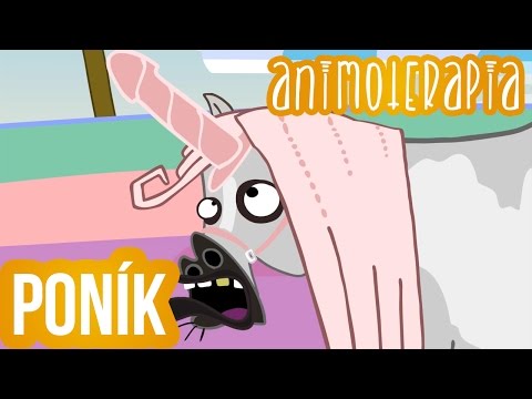 Animoterapia - 2 : Poník