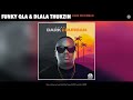 Funky Qla Dlala Thukzin Dark Or Durban Official Audio