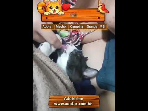 Vídeo de fufi
