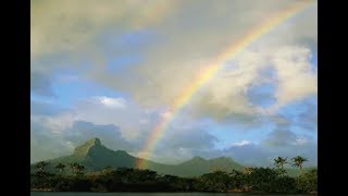 AFRICA "human rainbow" Johnny Clegg &amp; Savuka