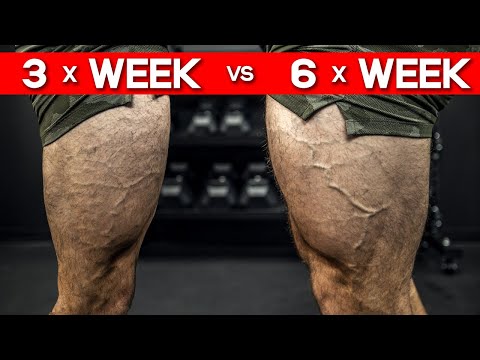 How Many Days Per Week Should You Workout? (MORE THAN YOU THINK!)