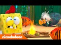 Kamp Koraal | SpongeBob in het noodistenkamp! | Nickelodeon Nederlands