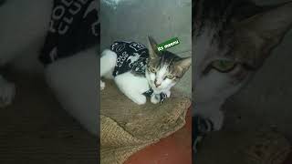 Download lagu July 26, 2025 mp3