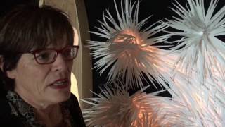 MEMORIES OF A JOSHUA TREE