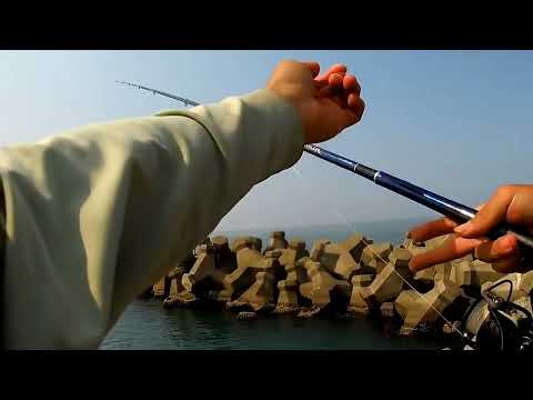很少見到這麼大的 #釣魚#高雄 #彌陀 #玩樂釣魚趣
