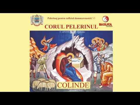 09. Oaspeți cu azur în gene