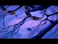 Beauty And The Beast The West Wing Wolves Hebrew