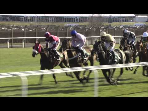 2013 Betfred Manifesto Novices Chase - Captain Conan