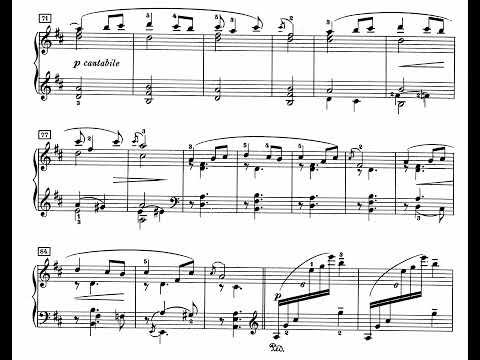 Piano Dwarf Piano Performance Video