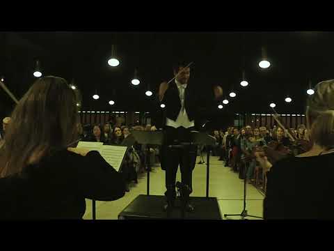 Beethoven - Violin Concerto II & III - Anna Göckel & Orchestre Romantique de Paris