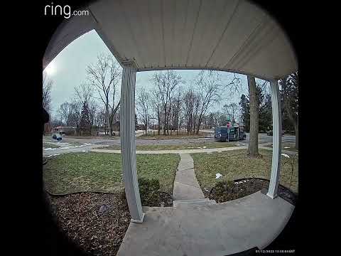 My Amazon delivery driver is so  professional!