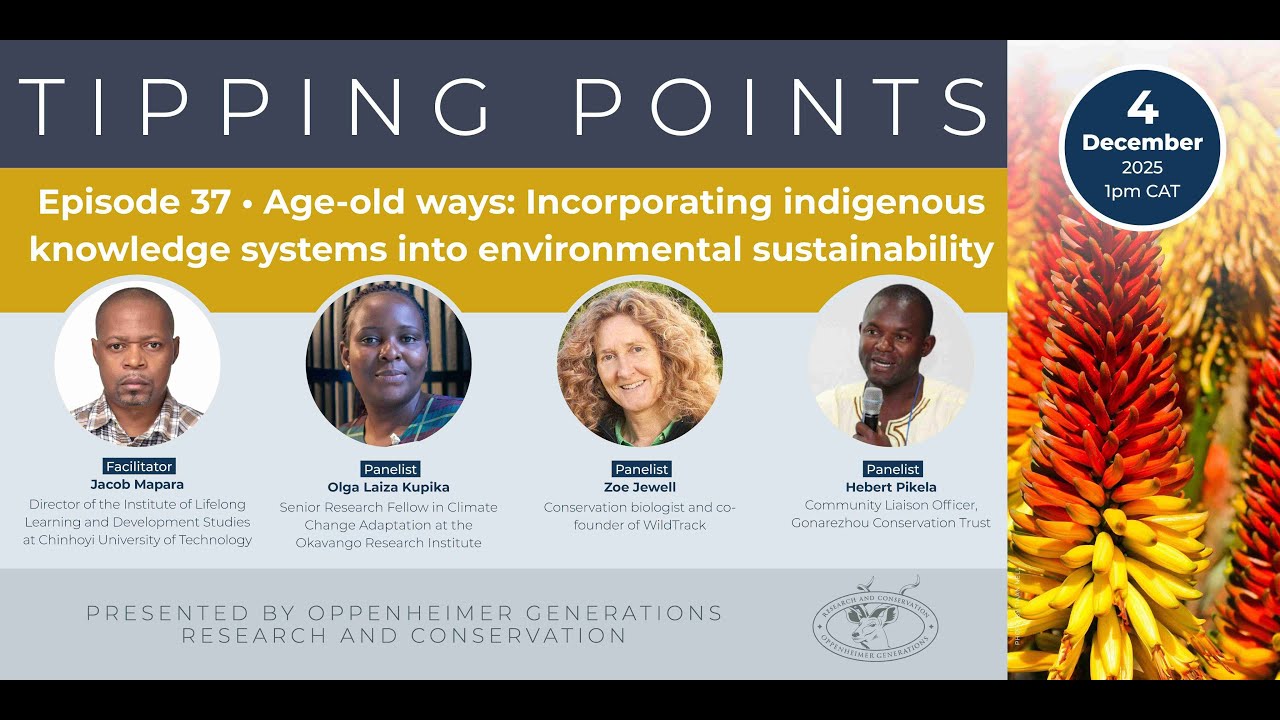 Tipping Points 37 - Age-old ways